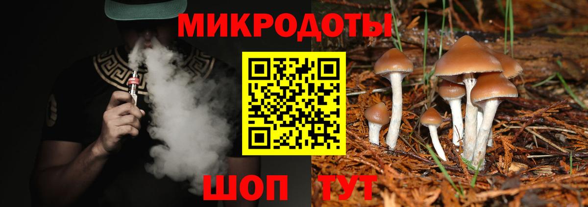 Ефремов  Галлюциногенные грибы Psilocybine cubensis  Вход с VPN 